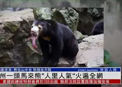 欧宝体育官网-关于离谱！马龙被绝杀后一句话火遍全网清晨西汉姆备战全明星赛，赛前主帅复盘引欢呼的信息