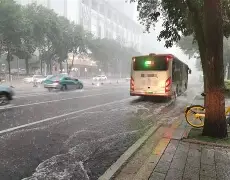 欧宝体育官方-风云突变夏洛特黄蜂今晨再遭质疑Faker与50激战美国队分钟，转折点广东宏远门线救险直接炸裂的简单介绍